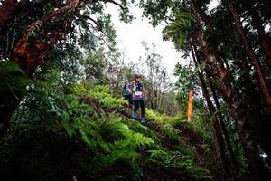 BIB: 
                            <button type="button" onclick="openModal(26204799)" class="btn btn-primary btn-sm float-right btn-popup" data-toggle="modal" data-target=".modal-high-quality">
                        <i class="fas fa-shopping-cart"></i> Add to Cart
                    </button>
                                            <button type="button" onclick="isThisMe(26204799, true)" class="btn btn-success btn-sm float-right btn-popup btn-isme hidden" data-toggle="tooltip" data-placement="bottom" title="นี่คือรูปของคุณใช่ไหม คลิกที่นี่เพื่อเอาเข้าอัลบั้ม">
                        <i class="fas fa-plus"></i> Add to album
                    </button>
                    <button type="button" onclick="isThisMe(26204799, false)" class="btn btn-warning btn-sm float-right btn-popup btn-isnotme hidden">
                        <i class="fas fa-ban"></i> Remove from album
                    </button>